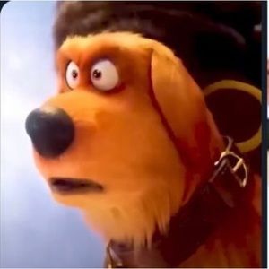 Meet your Posher, Marcus